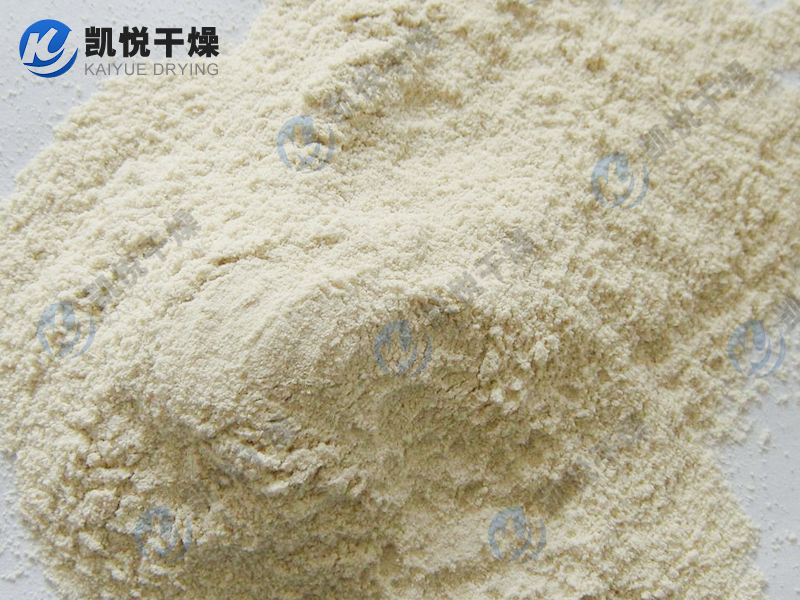 泛酸鈣真空耙式枯燥機(安徽XX生物)